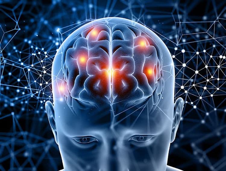 figure of brain highlighed